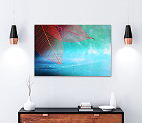 Obraz Farebné makro listy 2058